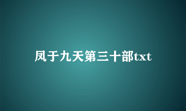 凤于九天第三十部txt