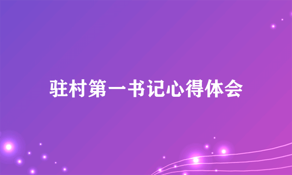 驻村第一书记心得体会