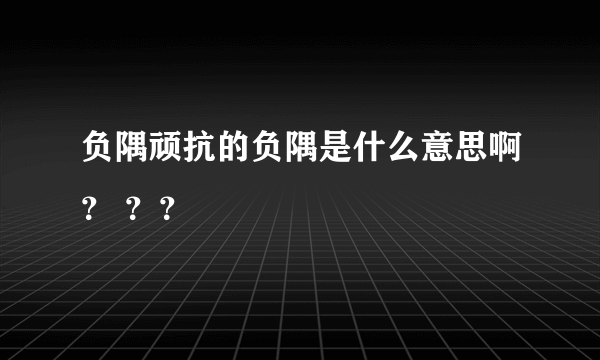负隅顽抗的负隅是什么意思啊？ ？？