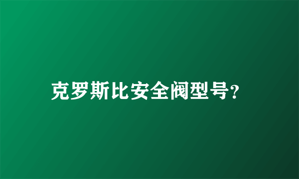 克罗斯比安全阀型号？