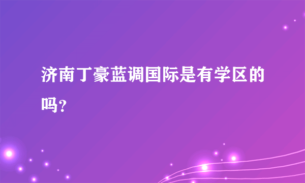 济南丁豪蓝调国际是有学区的吗？
