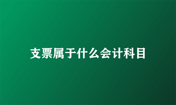 支票属于什么会计科目