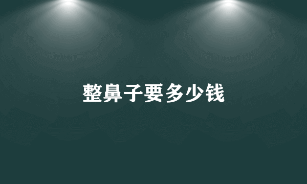 整鼻子要多少钱
