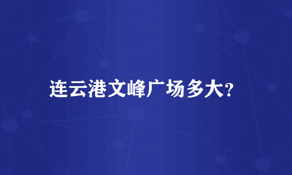 连云港文峰广场多大？