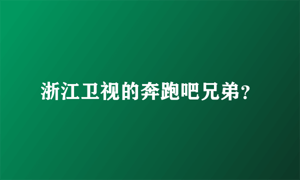 浙江卫视的奔跑吧兄弟？
