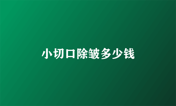 小切口除皱多少钱