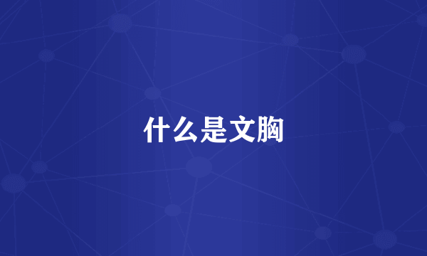 什么是文胸