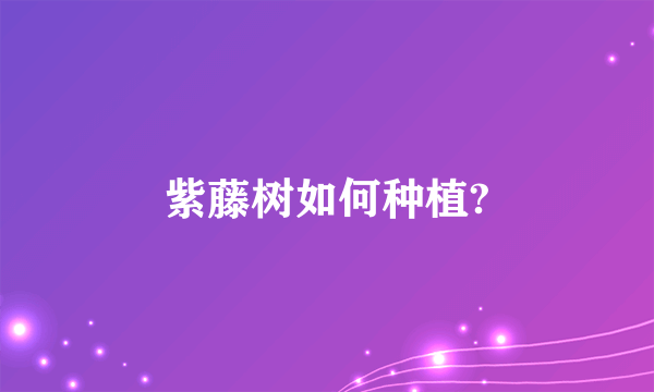紫藤树如何种植?