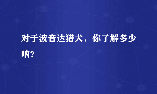 对于波音达猎犬，你了解多少呐？