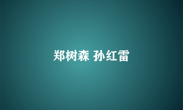 郑树森 孙红雷