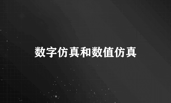 数字仿真和数值仿真