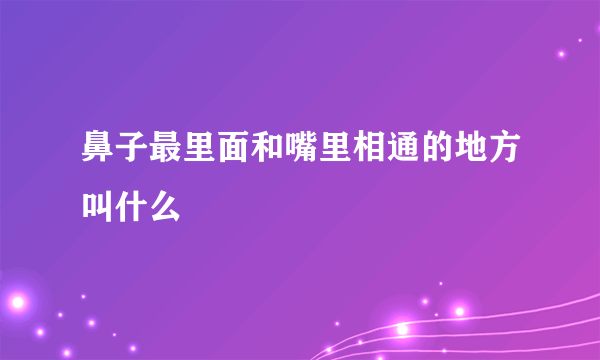 鼻子最里面和嘴里相通的地方叫什么