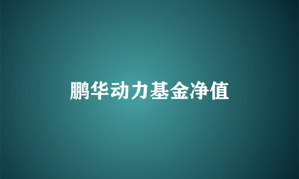 鹏华动力基金净值