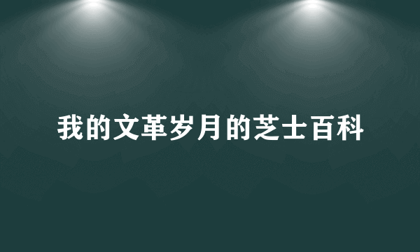我的文革岁月的芝士百科