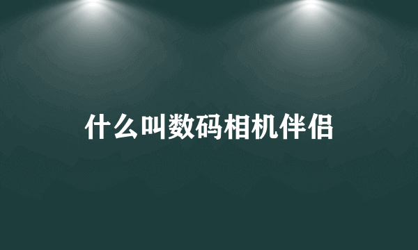 什么叫数码相机伴侣
