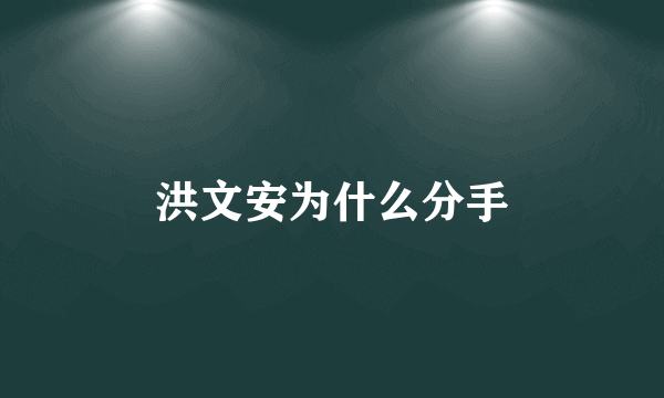 洪文安为什么分手