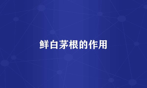 鲜白茅根的作用