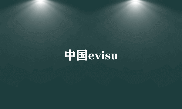 中国evisu