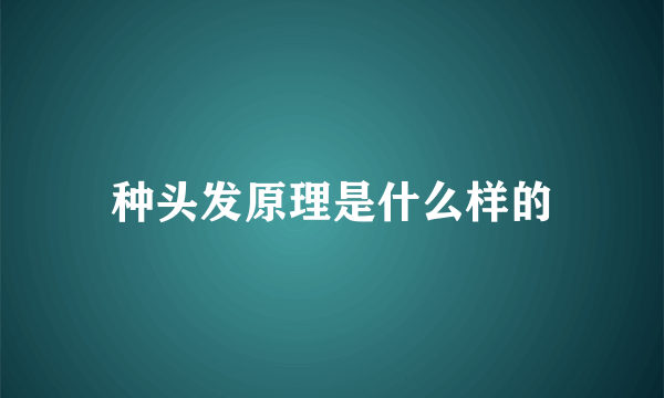 种头发原理是什么样的