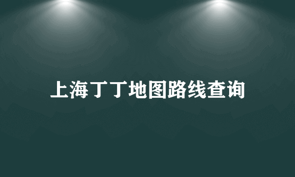 上海丁丁地图路线查询