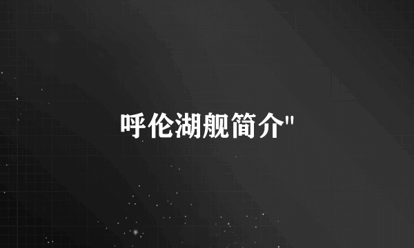 呼伦湖舰简介