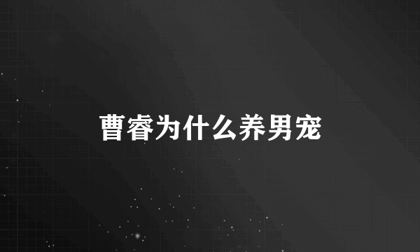 曹睿为什么养男宠
