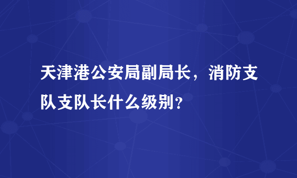 天津港公安局副局长，消防支队支队长什么级别？