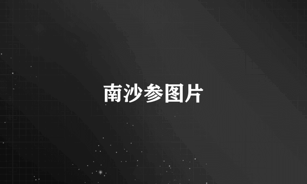 南沙参图片