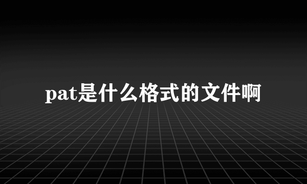 pat是什么格式的文件啊