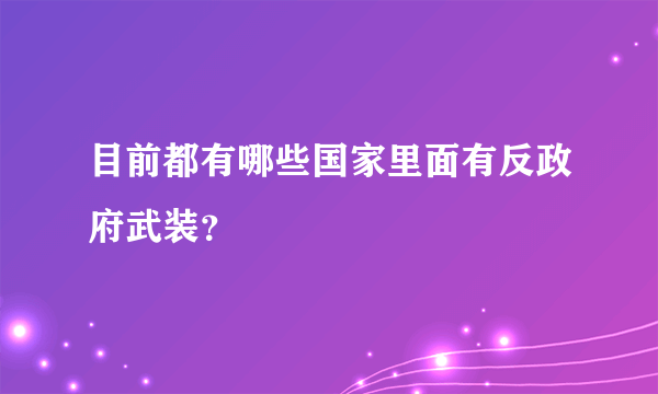 目前都有哪些国家里面有反政府武装？