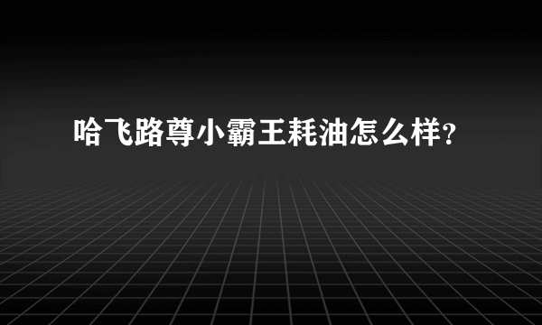 哈飞路尊小霸王耗油怎么样？