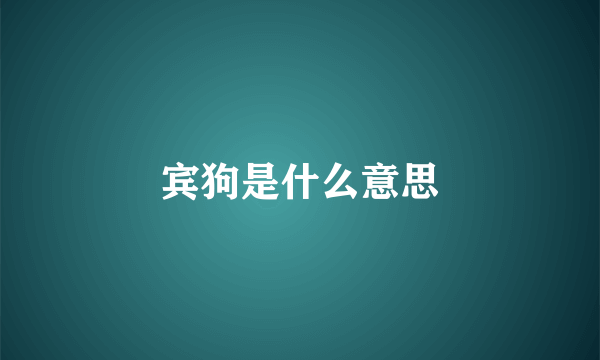 宾狗是什么意思