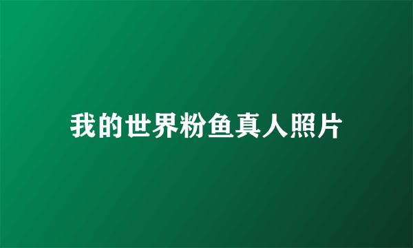 我的世界粉鱼真人照片