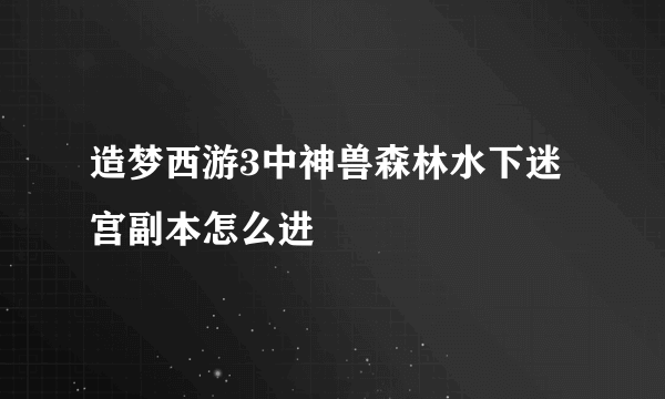 造梦西游3中神兽森林水下迷宫副本怎么进