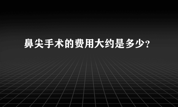 鼻尖手术的费用大约是多少？
