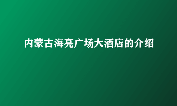 内蒙古海亮广场大酒店的介绍