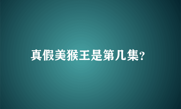 真假美猴王是第几集？