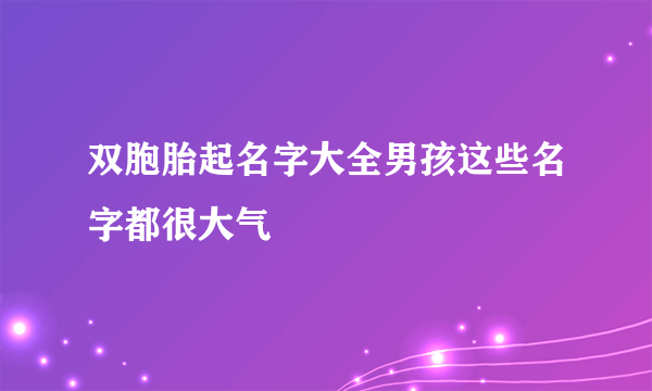 双胞胎起名字大全男孩这些名字都很大气