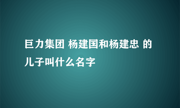 巨力集团 杨建国和杨建忠 的儿子叫什么名字