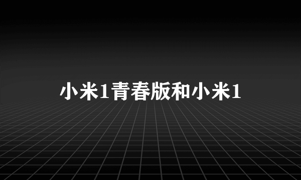 小米1青春版和小米1