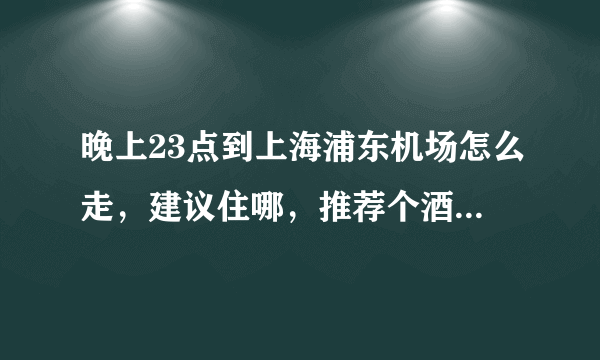 晚上23点到上海浦东机场怎么走，建议住哪，推荐个酒店。坐什么车呢