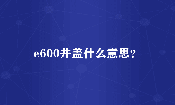 e600井盖什么意思？