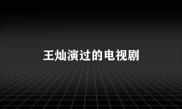 王灿演过的电视剧