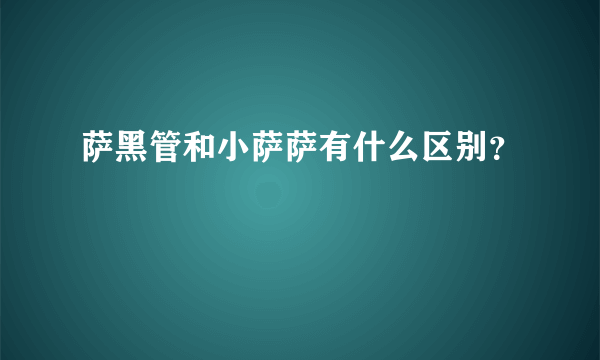 萨黑管和小萨萨有什么区别？