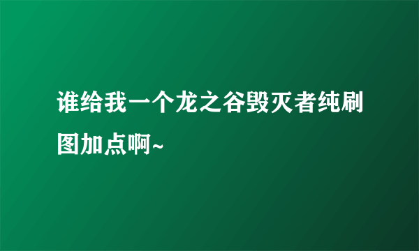 谁给我一个龙之谷毁灭者纯刷图加点啊~