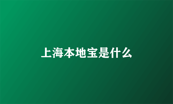 上海本地宝是什么
