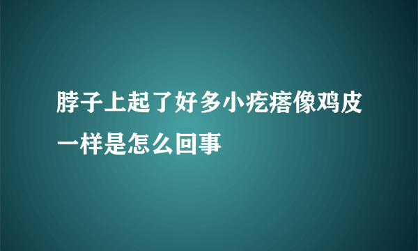 脖子上起了好多小疙瘩像鸡皮一样是怎么回事