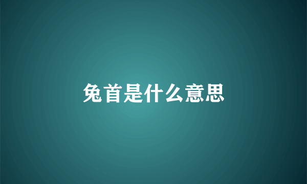 兔首是什么意思
