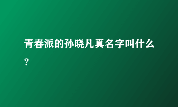 青春派的孙晓凡真名字叫什么？