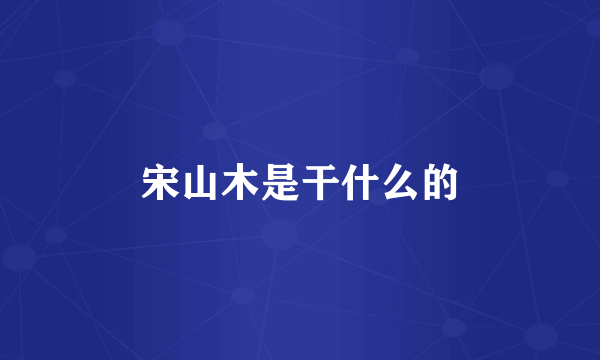 宋山木是干什么的